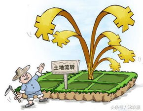 7.30农业服务资讯 土壤污染防治新标准实施 湖南六市纳入居家养老试点